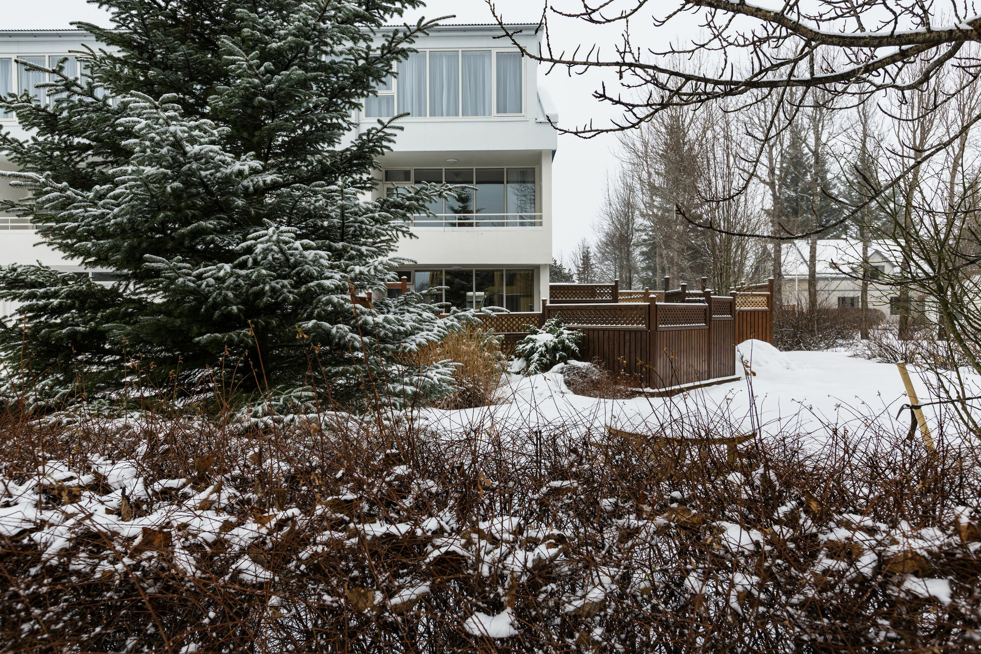 Guesthouse Garun Skolavellir Selfoss Exteriör bild